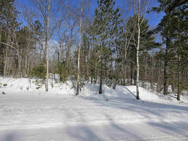 tbd 80 Acres off Co Rd CF Road, Ely Twp, MI 49849
