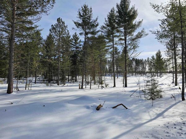 tbd 220 Acres off Co Rd CF Road, Ely Twp, MI 49849