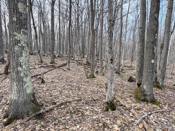 TBD Lot C Mohawk Gay Road, Allouez Twp, MI 49950