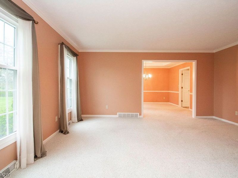 1011 Brandywine Drive , Medina, OH 44256 Photo 19