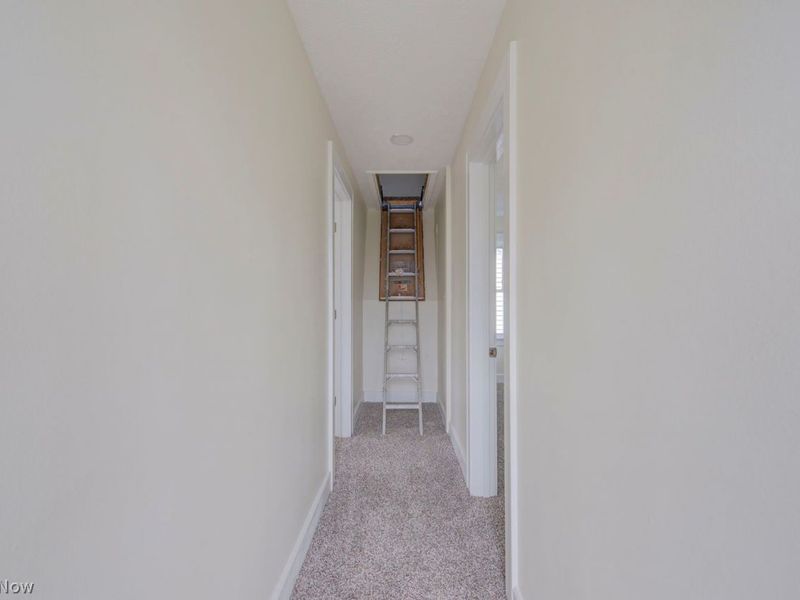 Cleveland, OH 44111 Photo 27
