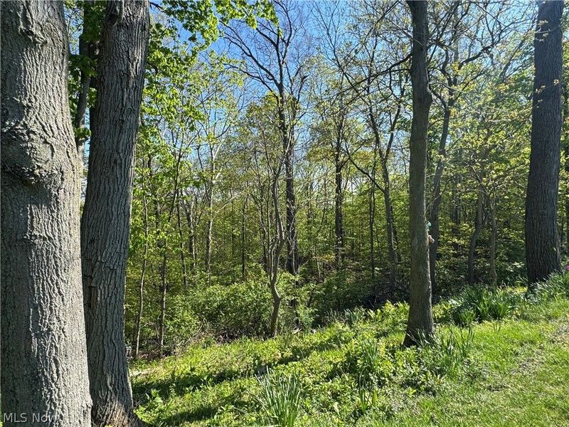132 Hillcrest Lane , Elyria, OH 44035 Photo 36