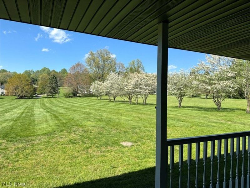 3906 Webb Road, Ravenna, OH 44266 Photo 27