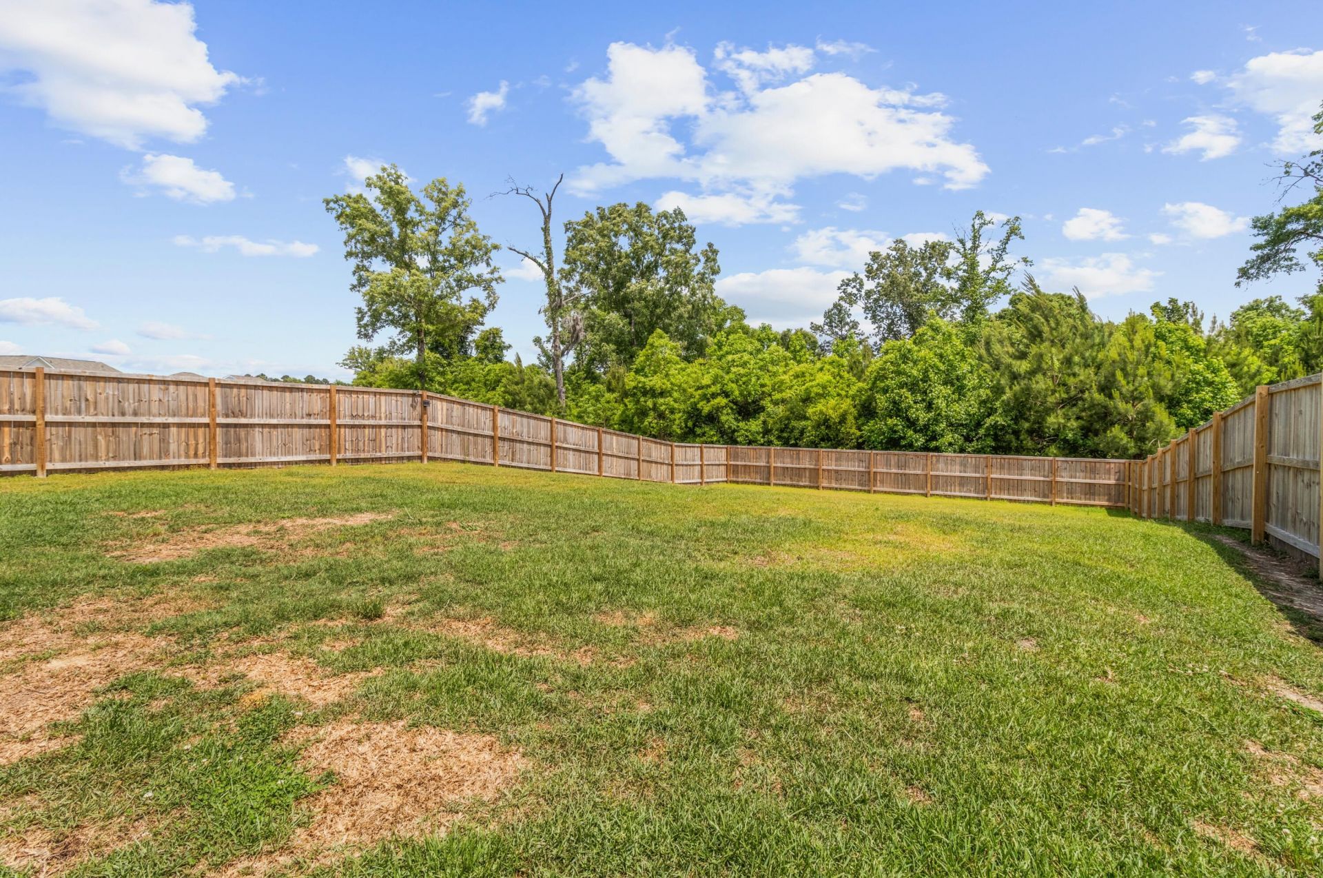 218 Maple Hill Drive Photo 26