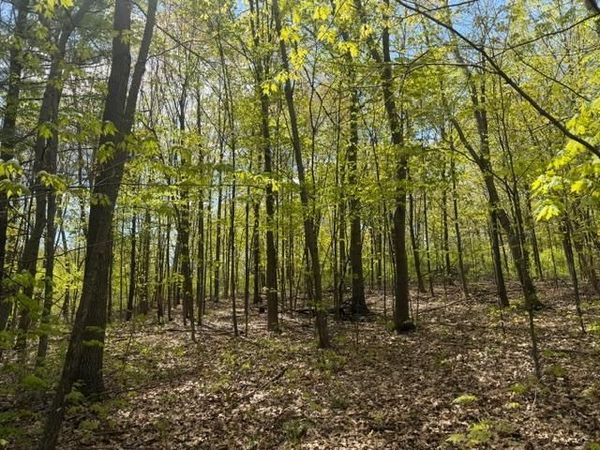 TBD 1st Street , Taylors Falls, MN 55084