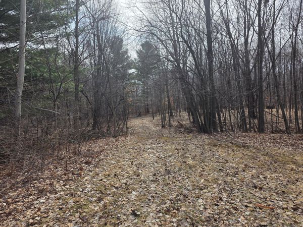 TBD 1st Street , Taylors Falls, MN 55084