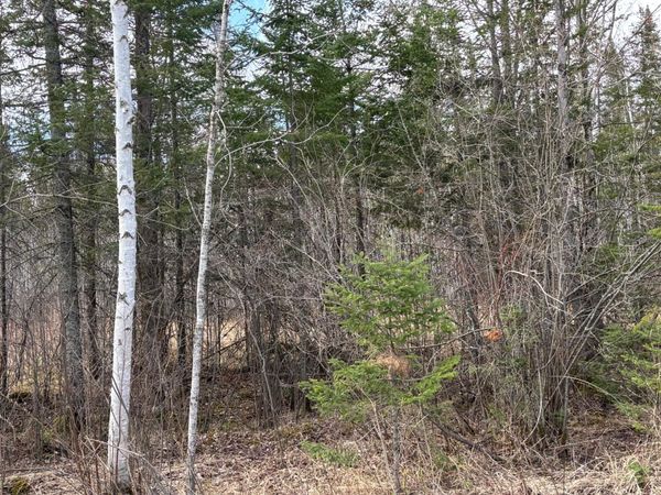 5358 E Four Corners Road , Cromwell, MN 55726