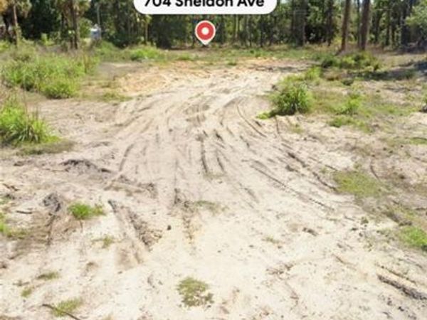 704 Sheldon AVE , LEHIGH ACRES, FL 33936