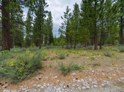573 Bobcat Trail, Clio, CA 96106 Photo