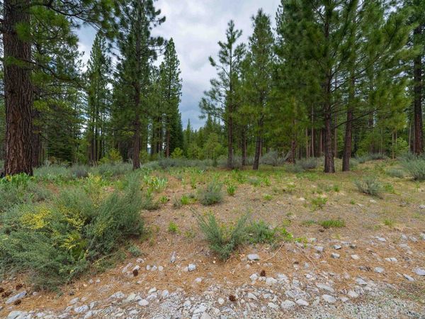 573 Bobcat Trail, Clio, CA 96106