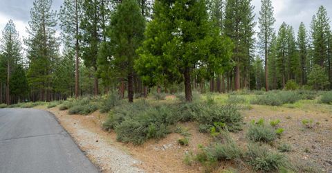 573 Bobcat Trail, Clio, CA 96106 Photo