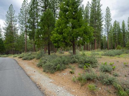 573 Bobcat Trail, Clio, CA 96106 Photo