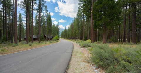 573 Bobcat Trail, Clio, CA 96106 Photo