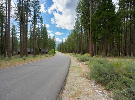 573 Bobcat Trail, Clio, CA 96106 Photo