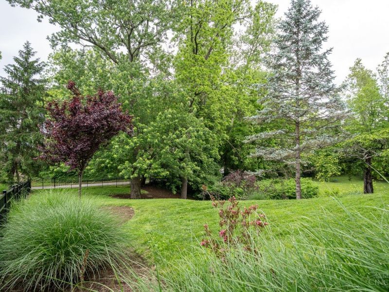 557 Hoge Street, Cincinnati, OH 45226 Photo 52