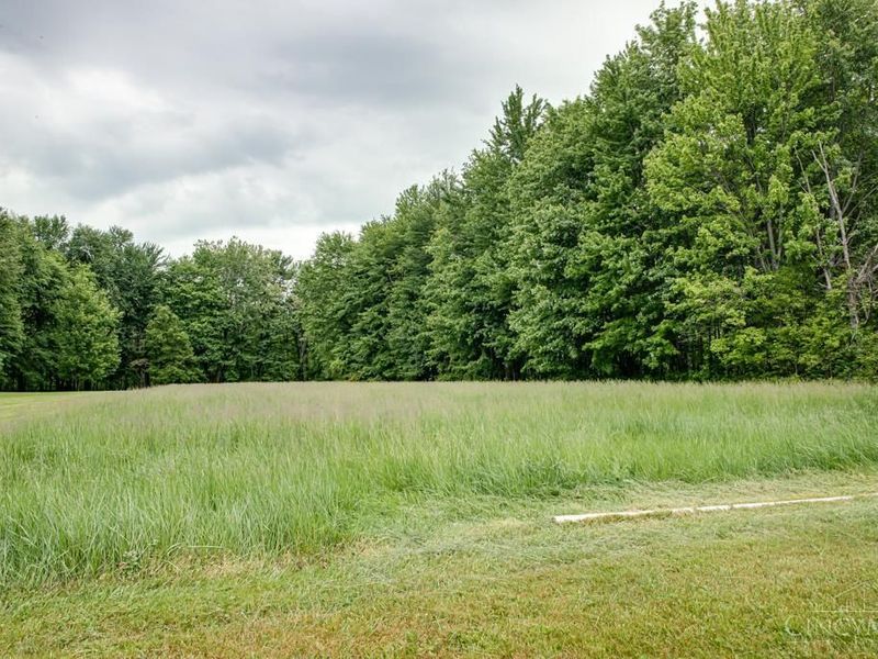 2168 St Rt 132, Goshen Twp, OH 45122 Photo 24
