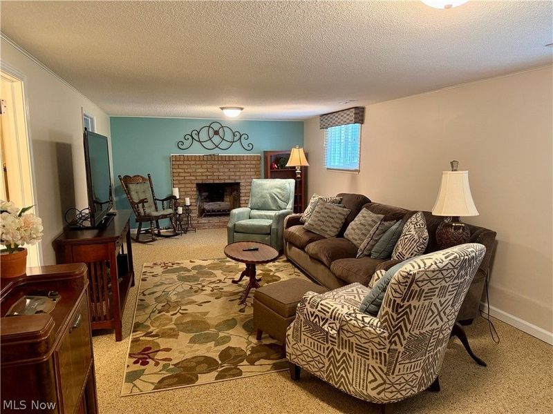 875 Princeton Avenue, Amherst, OH 44001 Photo 26