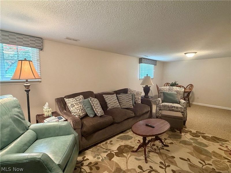 875 Princeton Avenue, Amherst, OH 44001 Photo 27