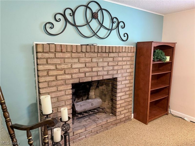 875 Princeton Avenue, Amherst, OH 44001 Photo 29