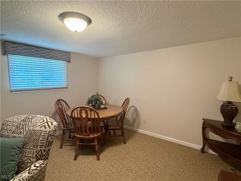 875 Princeton Avenue, Amherst, OH 44001 Photo 31
