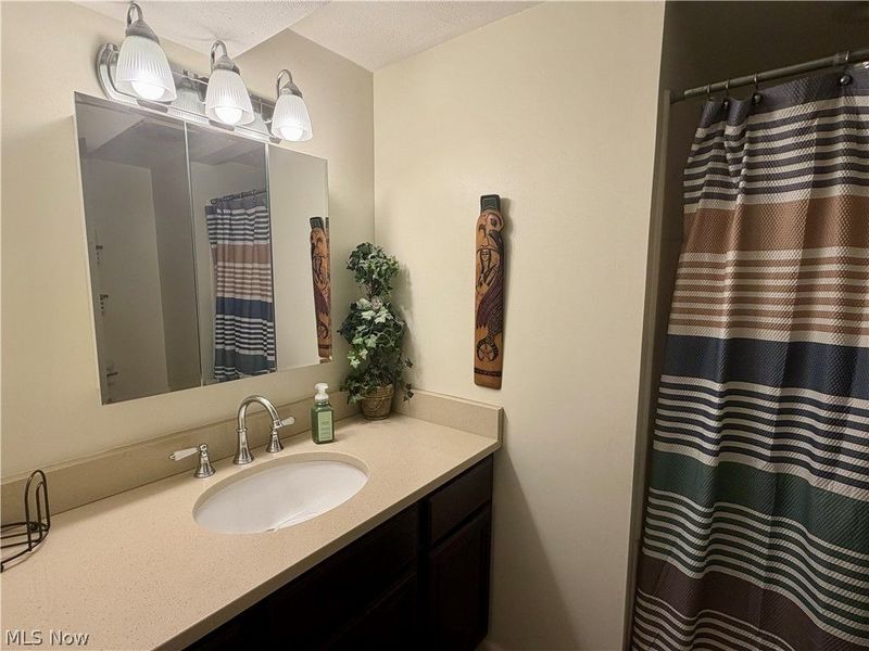 875 Princeton Avenue, Amherst, OH 44001 Photo 32