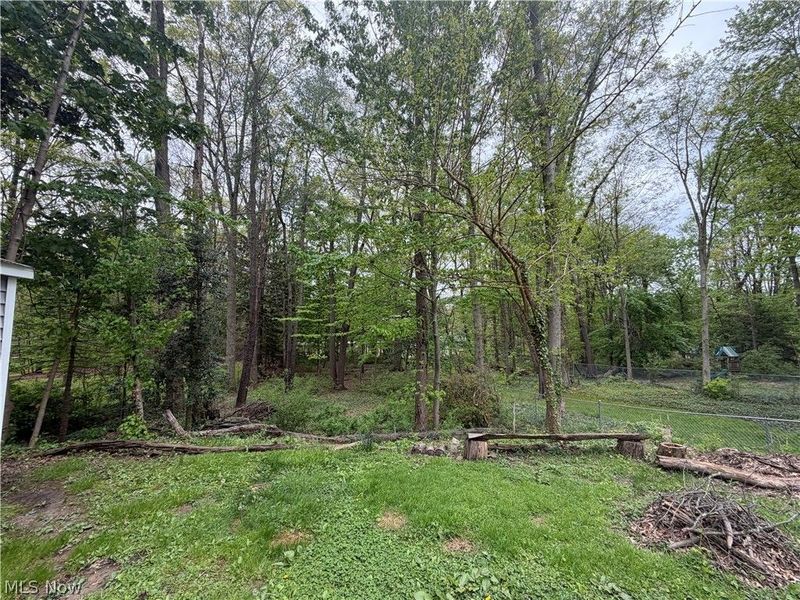614 N Willow Street, Kent, OH 44240 Photo 28