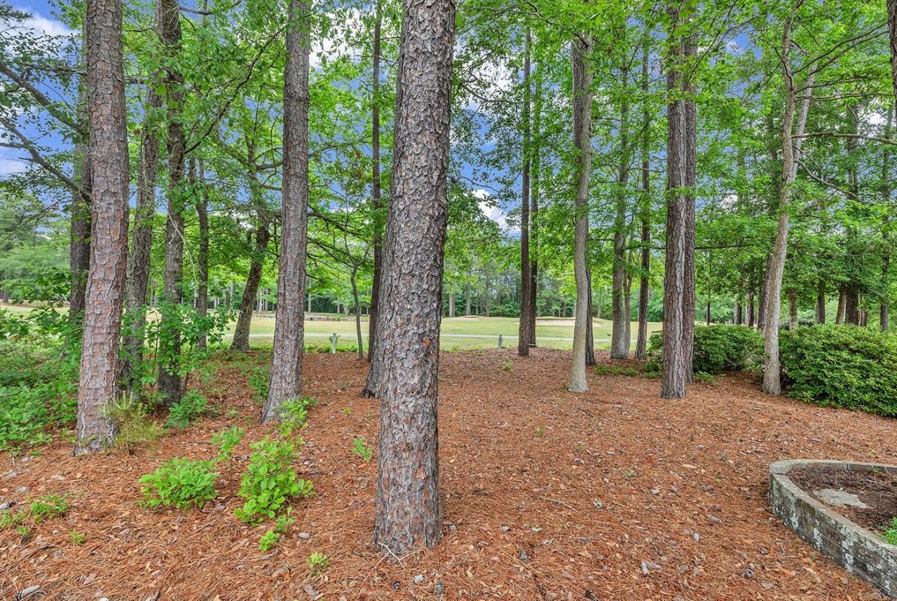 9452 Pinckney Ln. Photo 26