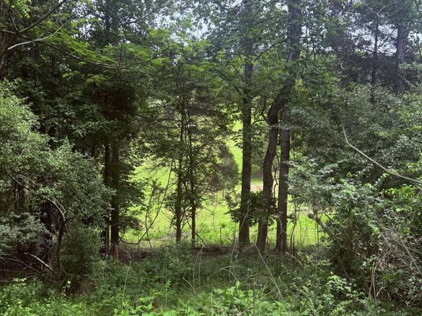 Chambers Rd, Jacksboro, TN 37757