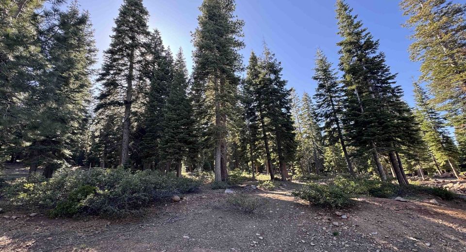 9158 Tarn Circle, Truckee, CA 96161 Photo