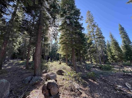 9158 Tarn Circle, Truckee, CA 96161 Photo