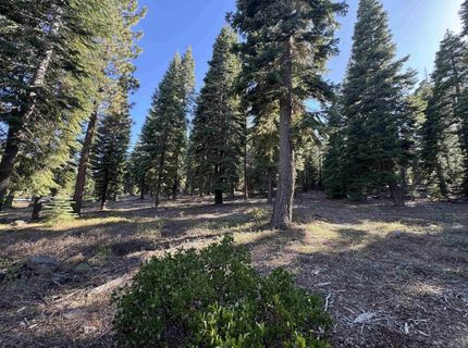 9158 Tarn Circle, Truckee, CA 96161 Photo