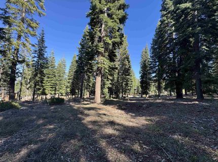 9158 Tarn Circle, Truckee, CA 96161 Photo
