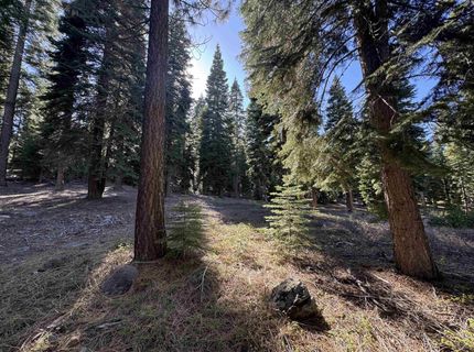 9158 Tarn Circle, Truckee, CA 96161 Photo