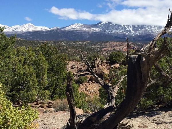 57 W KANE CANYON , Unit 17, Moab, UT 84532