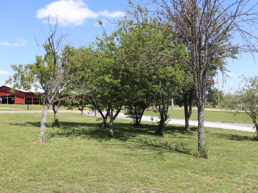 Property Image 40
