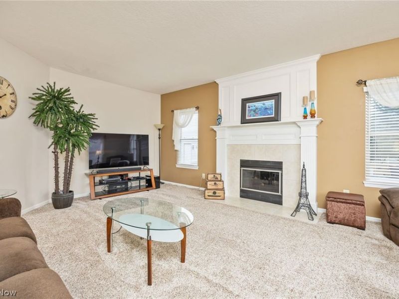 5684 Trystin Tree Drive , Medina, OH 44256 Photo 15
