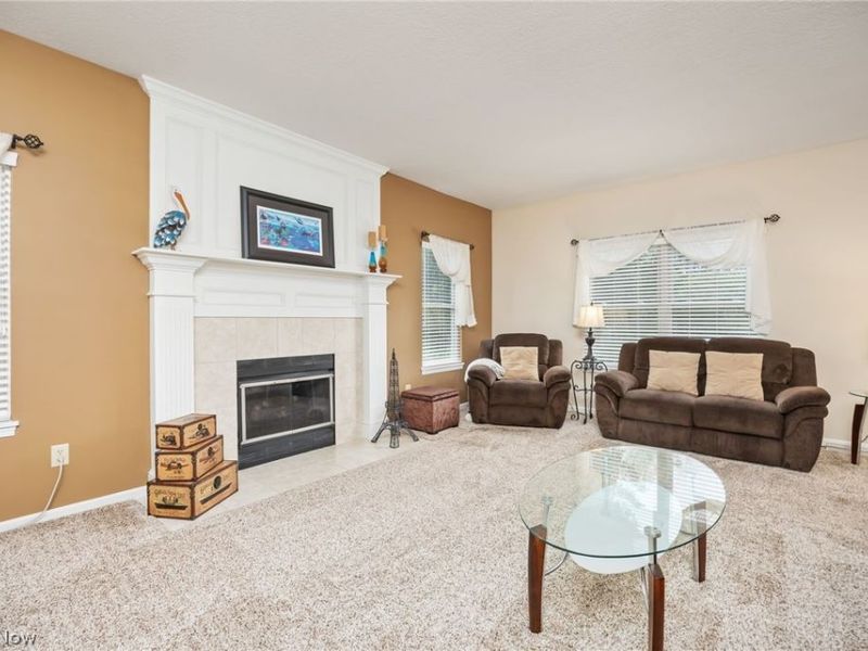 5684 Trystin Tree Drive , Medina, OH 44256 Photo 16