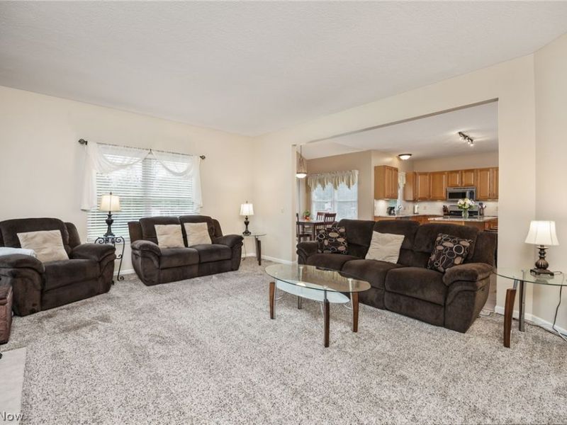 5684 Trystin Tree Drive , Medina, OH 44256 Photo 17