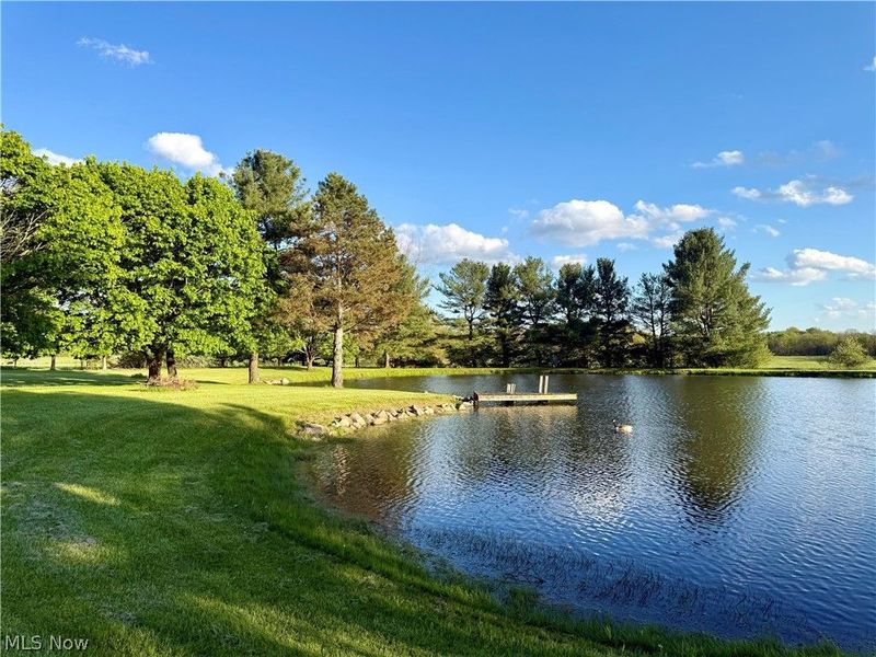 4416 Paradise Road, Seville, OH 44273 Photo 5