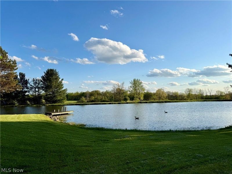 4416 Paradise Road, Seville, OH 44273 Photo 6