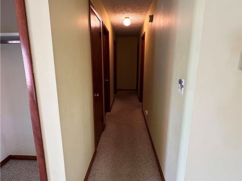 143 Oldman Road, Wooster, OH 44691 Photo 30