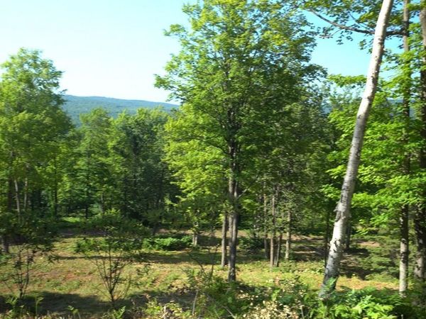 83xxx - Lot 12 Ashwabay Road , Bayfield, WI 54814