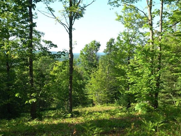 83xxx - Lot 13 Ashwabay Road , Bayfield, WI 54814