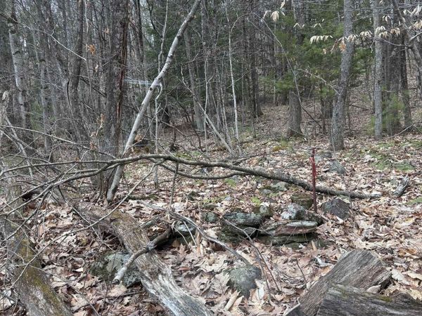 00 Coon Hill Road, Castleton, VT 05735