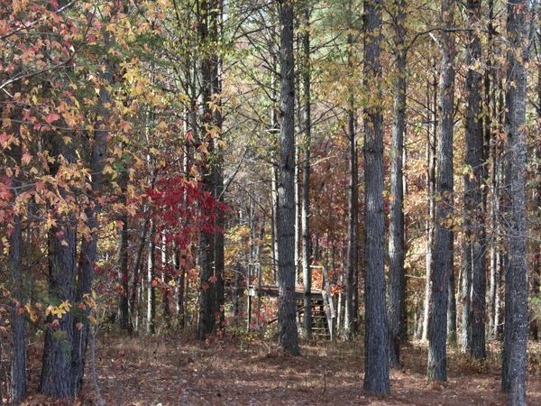 465 Compass Drive, Jasper, TN 37347