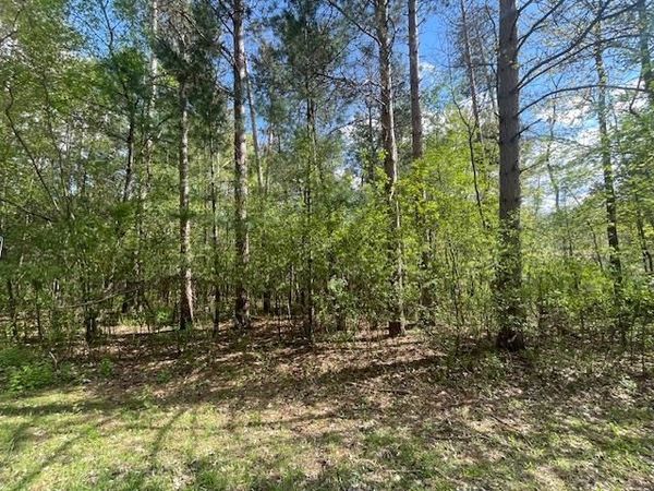 Lots 4 & 5 S Czech Lane, Friendship, WI 53934