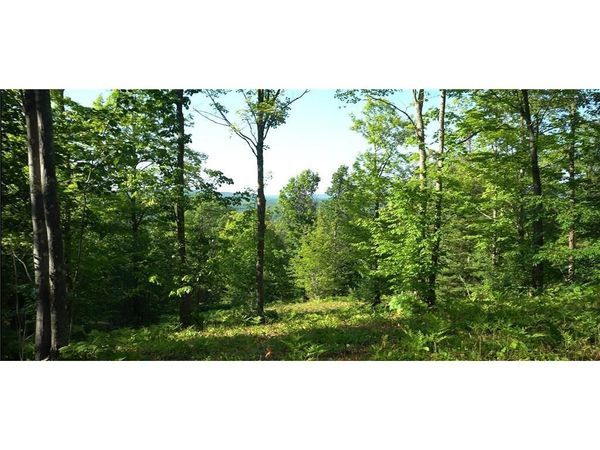 83xxx - Lot 13 Ashwabay Road, Bayfield, WI 54814