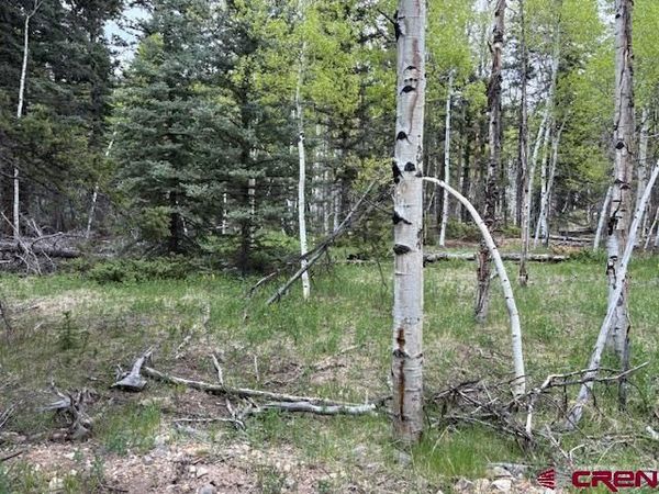 tbd Adams, Jasper, CO 81144