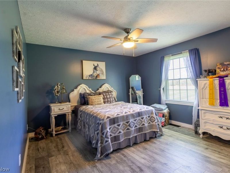 3877 Dawley Road, Ravenna, OH 44266 Photo 23