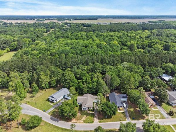 10200 March Pointe Drive, Theodore, AL 36582